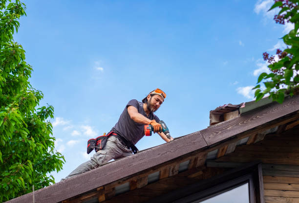 Best Roof Insulation Installation  in Cody, WY